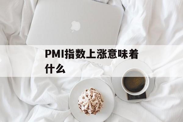 PMI指数上涨意味着什么（现在pmi指数）