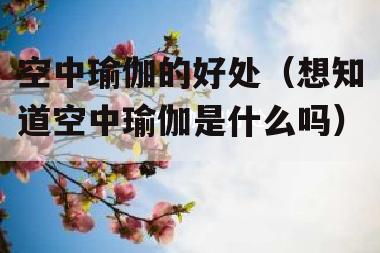 空中瑜伽的好处（想知道空中瑜伽是什么吗）