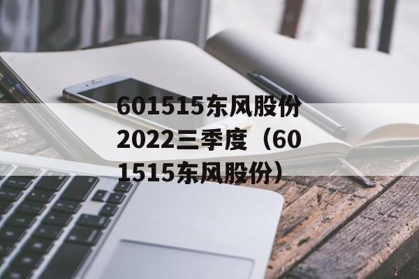 601515东风股份2022三季度（601515东风股份）