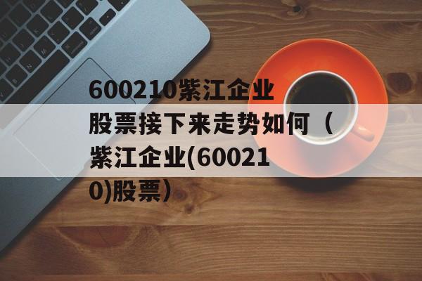 600210紫江企业股票接下来走势如何（紫江企业(600210)股票）
