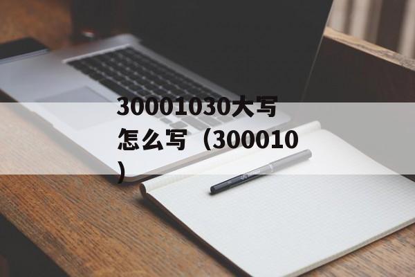 30001030大写怎么写（300010）